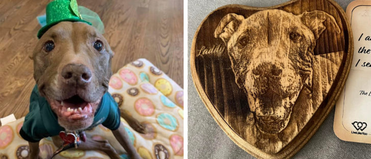 Aladdin, Famous Therapy Dog, Has Passed Away