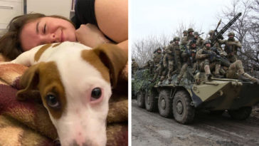 Ukrainian Killed in Dog Shelter Mission