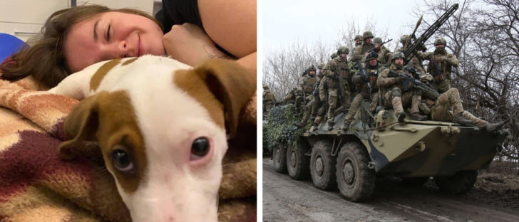 Ukrainian Killed in Dog Shelter Mission